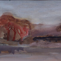 Red trees in Richmond park