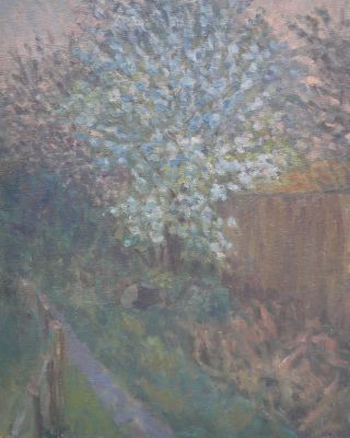 Footpath between Two Fences