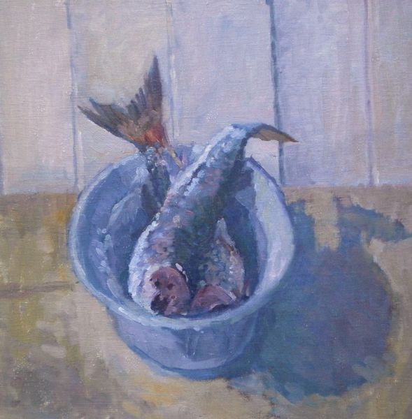 Two Headless Grey Mullet