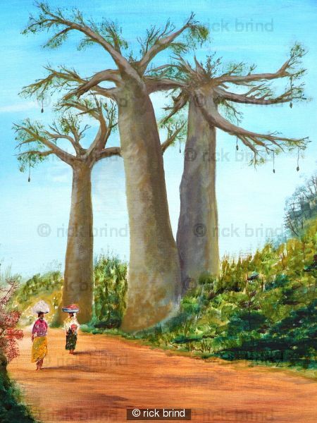 baobab trees