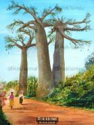baobab trees