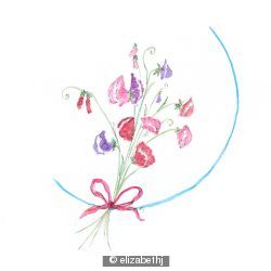 SWEETPEAS J 26