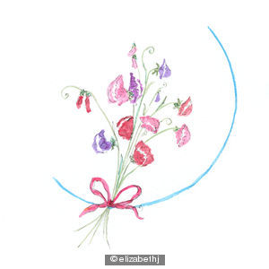 SWEETPEAS J 26