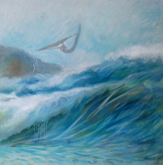 wind surfing 2009