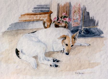 dog