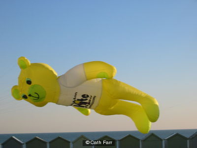 Bears Can Fly