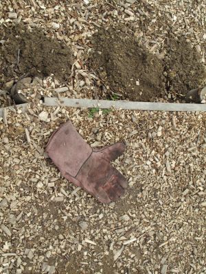 lost glove 22