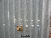 Little Doggie