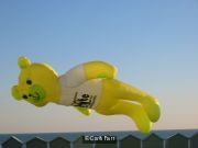 Bears Can Fly