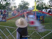 Whirlygig