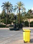 Palma Majorca