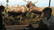 MOOSE ATTACK