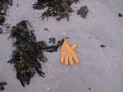 lost glove 1