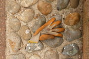 lost glove 3