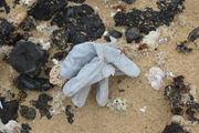 lost glove 7
