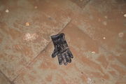 lost glove 16