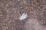 lost glove 18