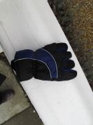 lost glove 15