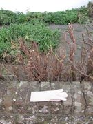 lost glove 8