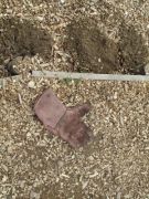 lost glove 22