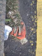 lost glove 4