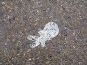 lost glove 21