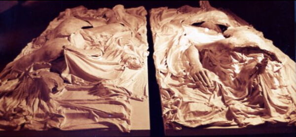 Twin Bodies
