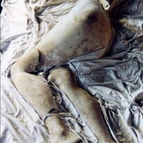 Twin Bodies detail.