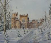 Castle in the snow