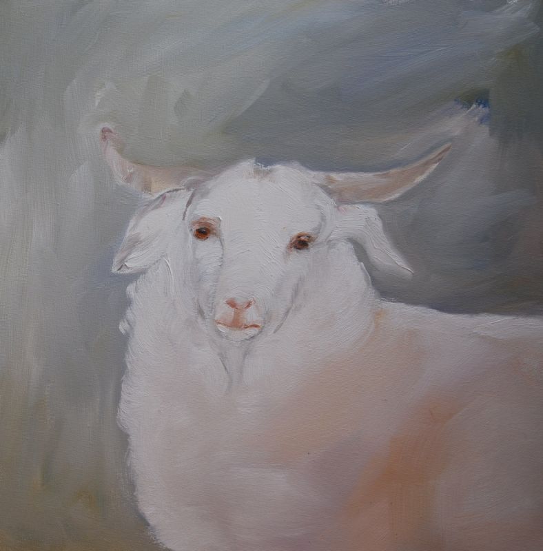 Cashmere