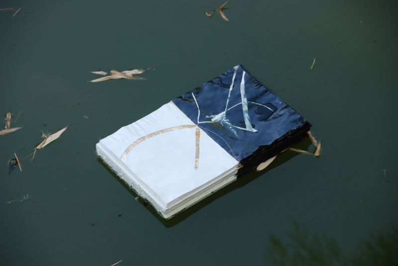 Read the Sky/In Stillness There is no Grey