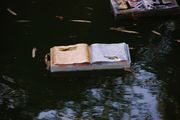 Read the Sky