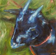 Chateau Padies Goat