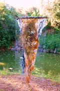 padies_20080802_043