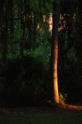padies_20080723_019