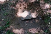 padies_20080723_003