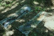 padies_20080723_014