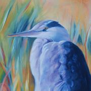 Heron