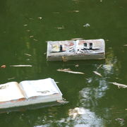 Read the Sky