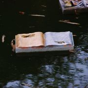Read the Sky