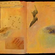 Jos Page