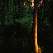 padies_20080723_019