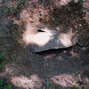 padies_20080723_003