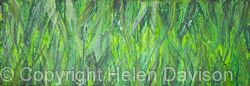 Barley Grass Abstract