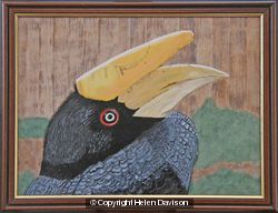Hornbill