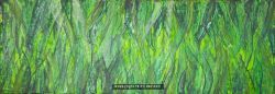 Barley Grass Abstract