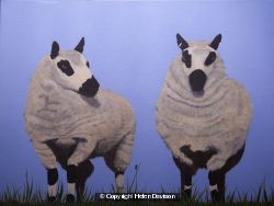 Ewe Too At Baswick Landing