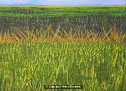 Summer Fields, Chedworth