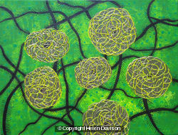 Abstracted Lata Balls