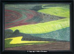 Aerial Landscape